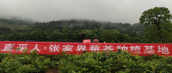 图片 1.png